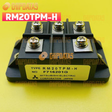 1PCS New MITSUBISHI Module RM20TPM-H RM20TPMH 100% Quality Assured #c67
