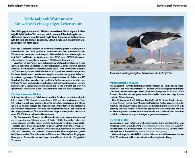 Thumbnail - Eiderstedt & Husum Arnd M. Schuppius