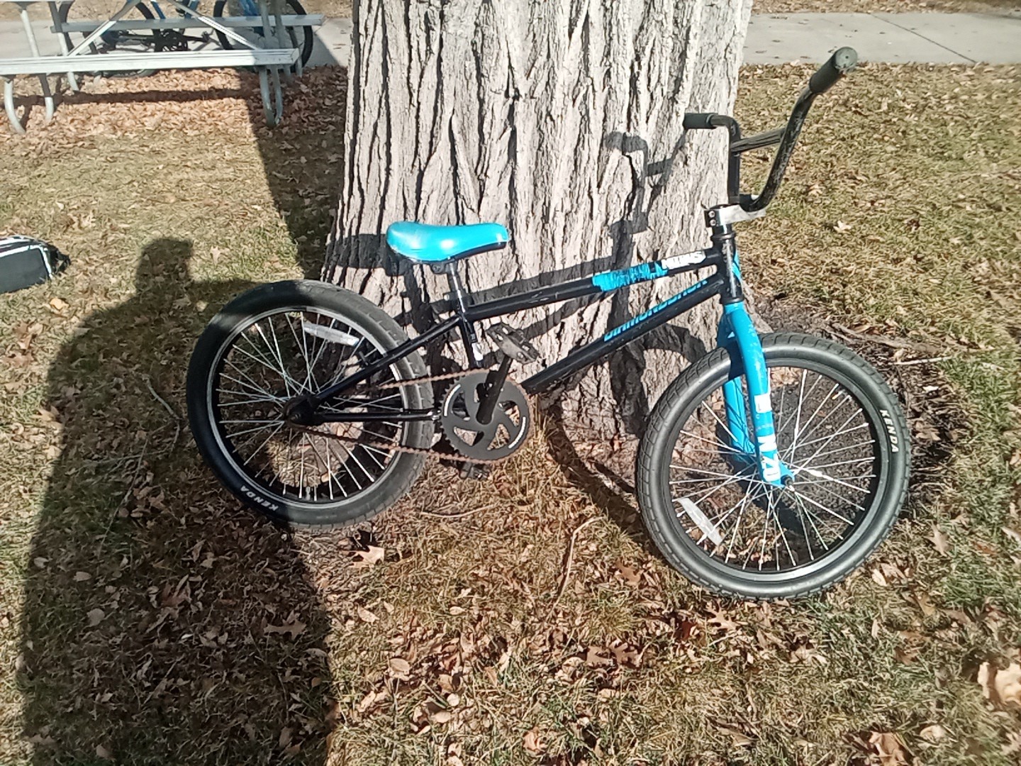 Diamondback 20 Inch Nitrous BMX Bike