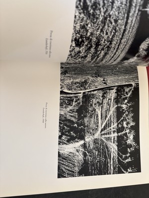 Mario Giacomelli Fotografien 1952-1995 Steinorth art exhibition