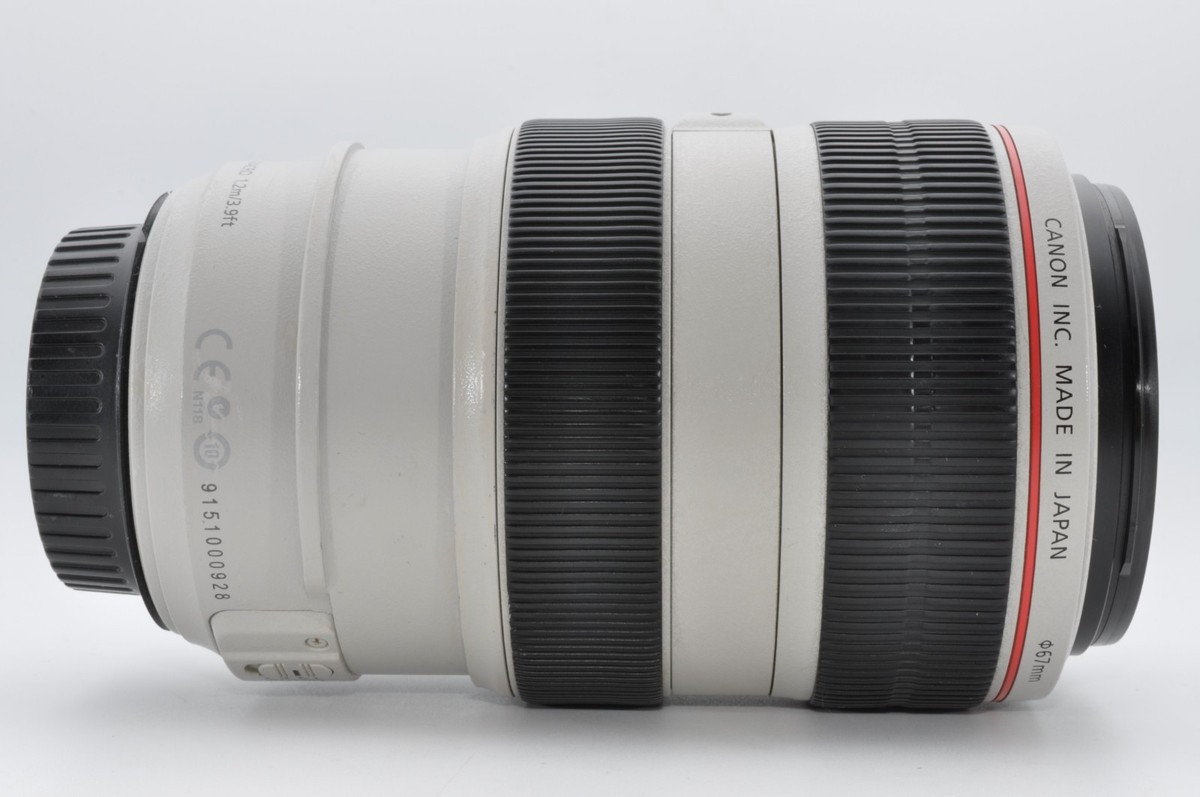 Canon EF 70-300mm f/4-5.6 USM Lens + Hood [ Excellent ] from Japan