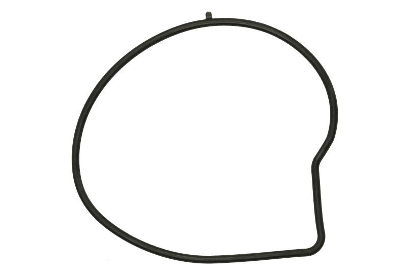 ✅Fits ELRING EL527420 Water pump gasket EL527420 Water pump gasket f ⭐UK Seller⭐