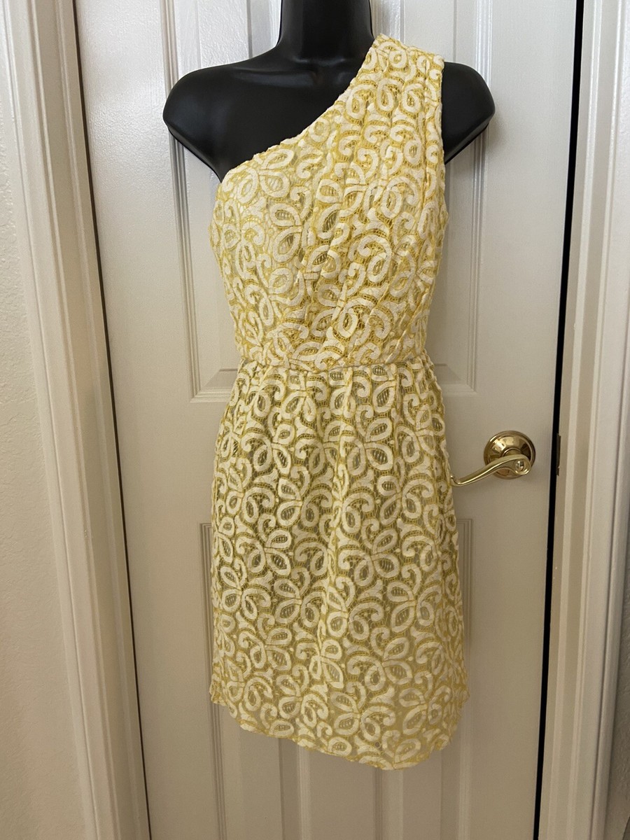 mint lace plus size dress Ruthie Dress | Occasion Dress in Sizes XXS–6X main image 1
