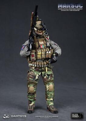DAMTOYS 1/6スケール　ミリタリーフィギュア　MARSOC オペレーター DAMTOYS DAM 78007 1/6 US Special Forces MARSOC Action Figure Stock
