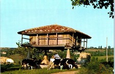 Austrian Granary, Grain Storage Building, Cows Postcard