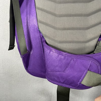 Patagonia Critical Mass 22L Daypack Commuter Backpack Bag  display picture 3