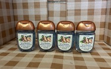 Wildberry French Toast PocketBac desinfectante baño y cuerpo funciona paquete de 4. Nuevo.