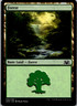 MTG Unsanctioned (2020) Forest (UND)
