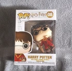 Funko Pop! Vinyl Harry Potter Movies Figure Box #08 Collectible