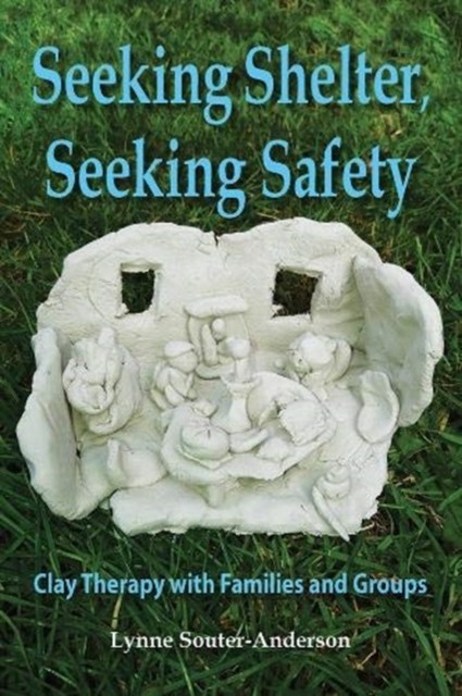 Seeking Shelter, Seeking Safety by Lynne Souter-Anderson (Paperback Book)