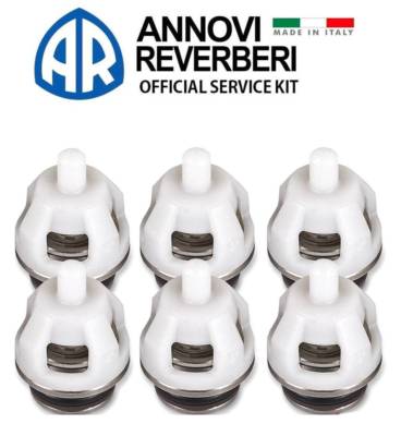 Annovi Reverberi AR 2871 Check Valve Kit for SXW, SXWA Series Pumps *OEM* AR2871