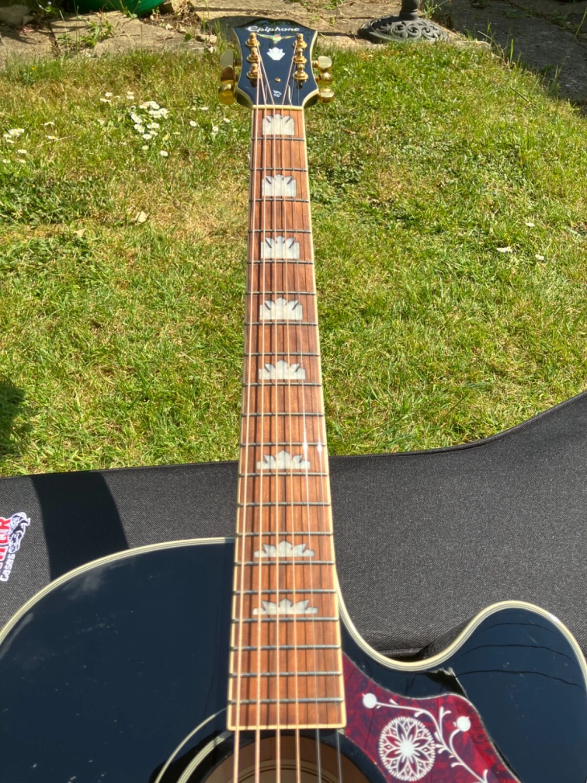 Picture 12 of 19