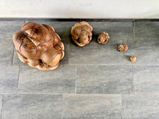 Statue Yogi/Buddha pensatore, lavorate in legno di più dimensioni