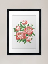 Bouquet of peonies Framed Art Print Framed Wall Art Poster Canvas Print Picture