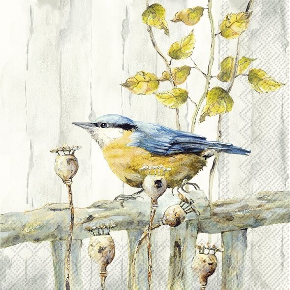 4 x Single Napkin/3-Ply/33cm/Decoupage/Autumn/Poppy Seed Heads/Bird/Nuthatch