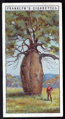 FRANKLYN DAVEY - OVERSEAS DOMINIONS (AUSTRALIEN) - #39 AFFENBROTBAUM ODER FLASCHENBAUM