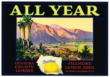 LEMON CRATE LABEL ALL YEAR VENTURA COUNTY FILLMORE DESERT SCENE PALM SPRINGS