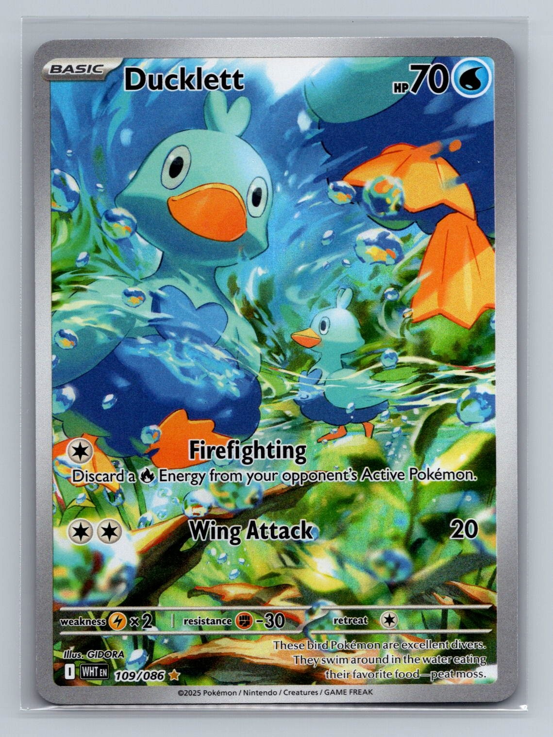 Ducklett 109/086 Pokémon TCG Illustration Rare SV: White Flare Near Mint