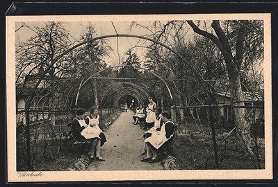 Postcard Heidingsfeld, maid in the wine arbor of the ore. Institute and Household 