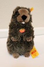 Steiff PADDY BEAVER, 2072/27