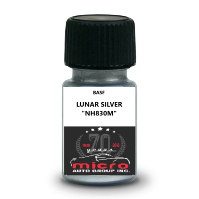 Touch up Paint Kit With Brush 2 Oz For Honda Lunar Silver NH830M SHIPS TODAY