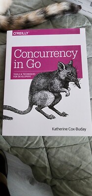 Concurrency in Go | Katherine Cox-Buday | Taschenbuch | Englisch (2017)
