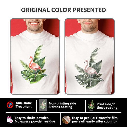 PUNEHOD 13" DTF Printer Transfer Roll Film 13inx328ft DTF Premium Cold Peel Film - Picture 9 of 12