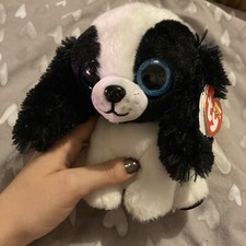 Ty Sissy Dog Beanie Boo Regular  Beanie Baby Soft Plush Toy  Collectible Cuddl