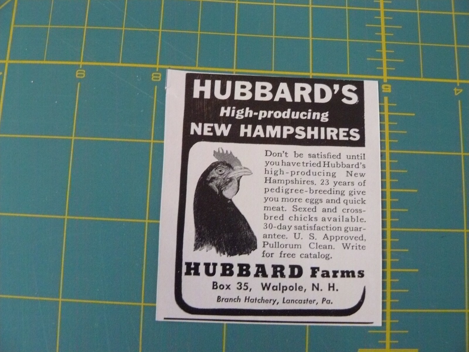 THE FARM QUARTERLY SUMMER 1957AD HUBBARD'S NEW HAMPSHIRES / Walpole