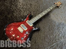 Paul Reed Smith(PRS) Brushstroke 24 10Top (Custom Color) Used Electric Guitar