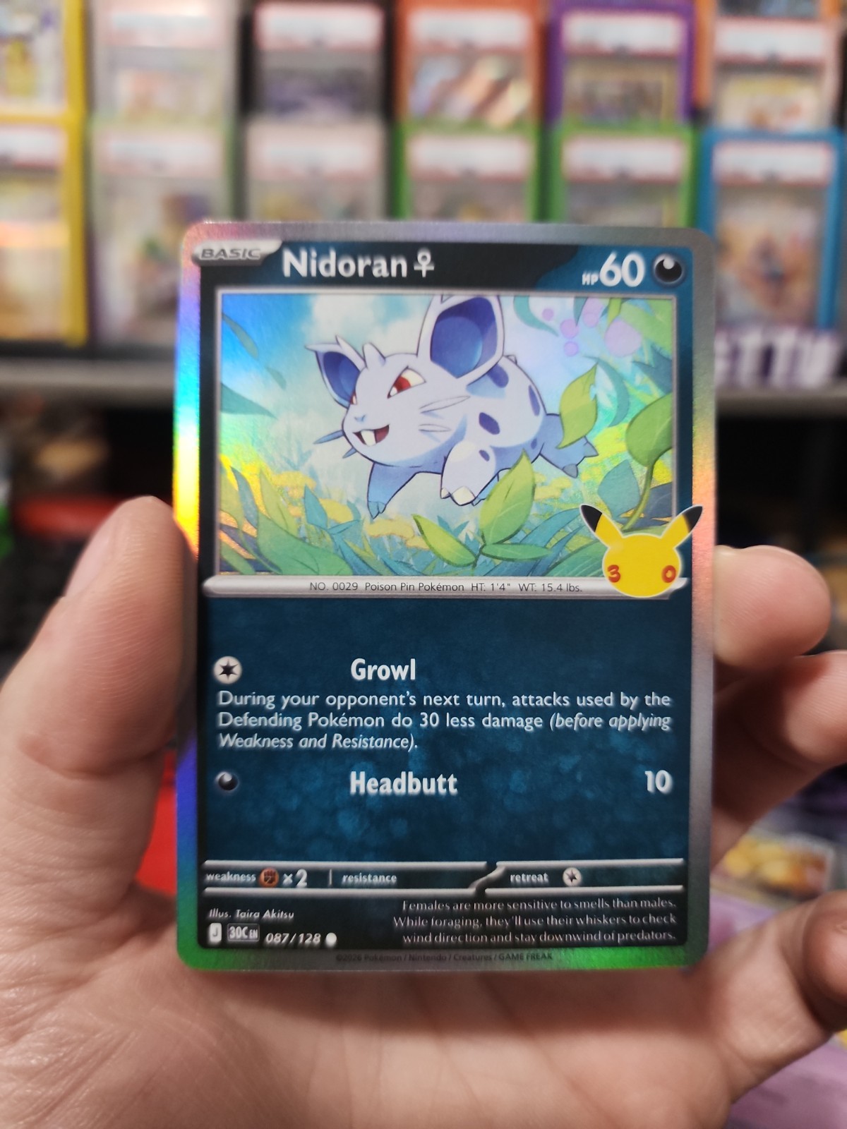30TH ANNIVERSARY NIDORAN 87/128 CELEBRATION POKEMON MINT