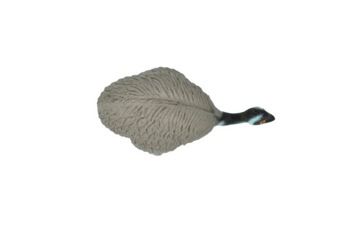 Emu, Australian Bird Plastic Educational Toy, Realistic Figure, Model F1092 - Bild 6 von 11