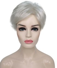 Dorothy - Straight Kanekalon Synthetic Fiber Full Wig, 2-4.5 in, Silver Grey