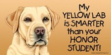 My YELLOW LAB is SMARTER than your Honor Student! Car Fridge Dog Magnet 4x8 NEW