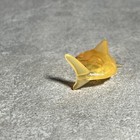 Foto 3 di 8