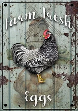 Decoupage Queen - Farm Fresh Eggs Rice Paper A3