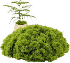 Green Moss Crafts, 5.29 Ounces