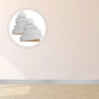 Foto 10 di 12