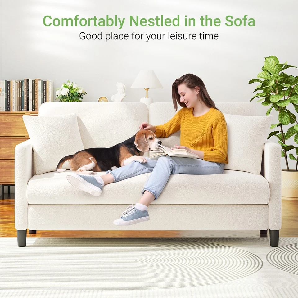 2-Sitzer Sofas Teddy Fleece Sofa Modern Couch Bequeme 2er Sitzsofa mit 2 Kissen - Bild 4 von 4