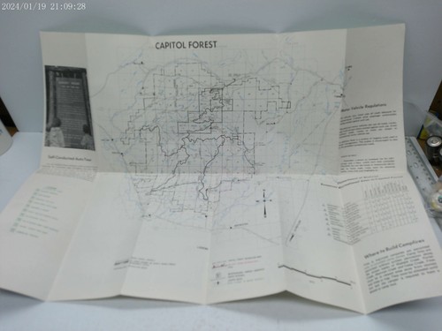 Vintage "Capitol Forest" Olympia WA Map c.1970 Washington State - Picture 3 of 3