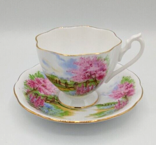 Coppa da tè e piattino Queen Anne Meadowsside ossa Cina rosa blu floreale Inghilterra - Foto 1 di 10
