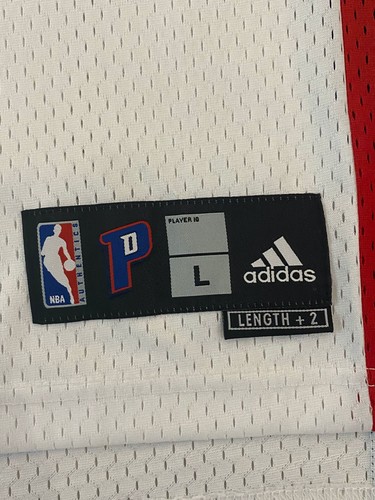 Richard Hamilton signiertes Pistons Adidas Swingman Trikot JSA - Bild 6 von 7