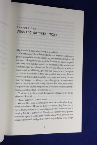 PLEASE MISS Grace Lavery A HEARTBREAKING WORK OF STAGGERING PENIS Transgender - Picture 6 of 12