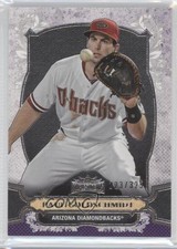 2014 Topps Triple Threads Amethyst 223/325 Paul Goldschmidt #19 2r5