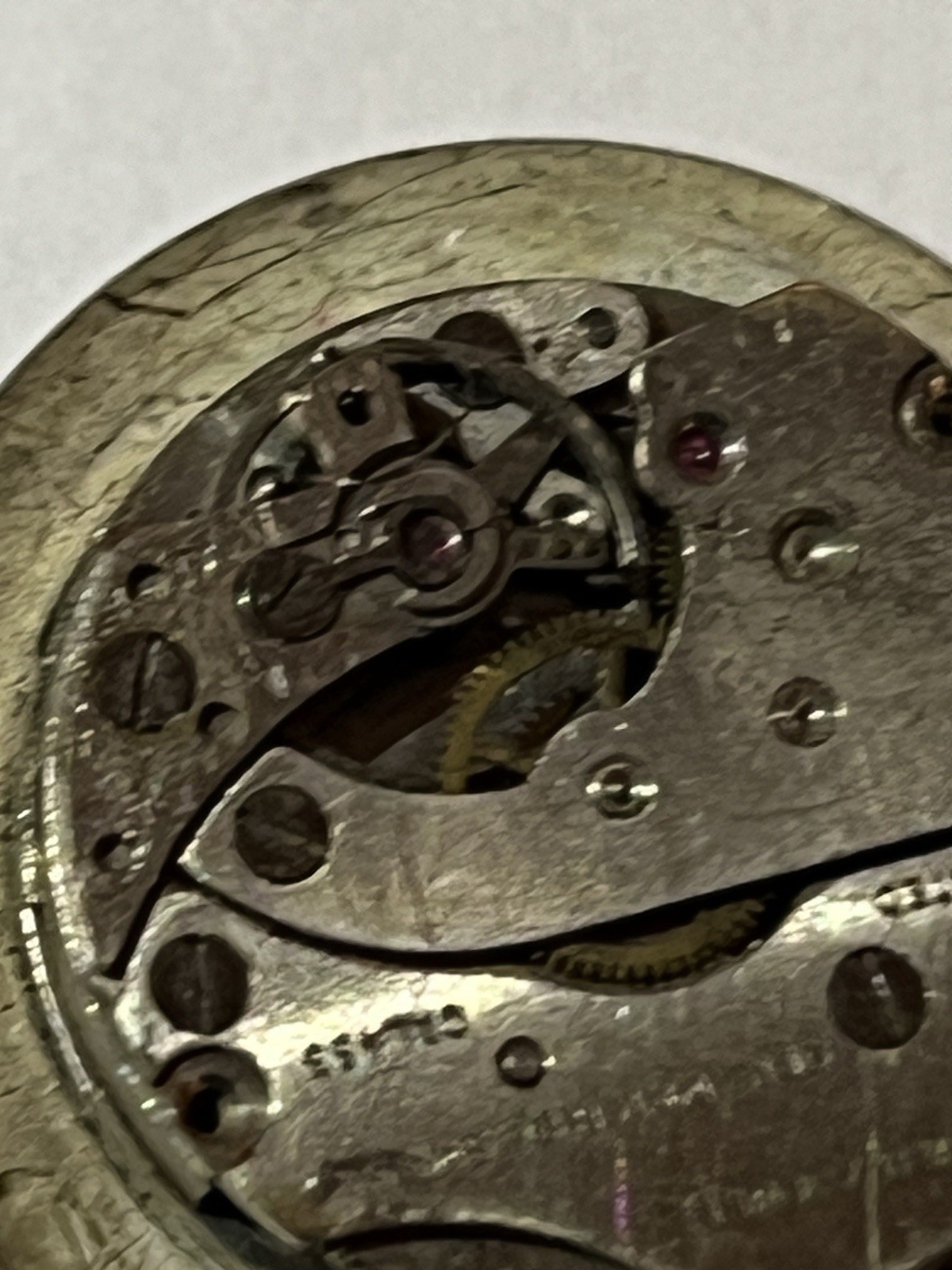 Picture 4 of 5