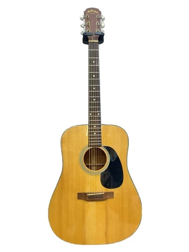 AD-320N Acoustic guitar/brown/6 strings/AD-320N Aria Dreadnought