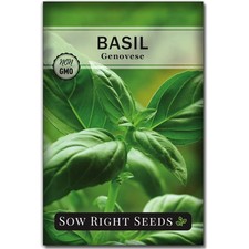 Genovese Basil Seeds Non-GMO Heirloom Indoor Outdoor Garden Herb Pack