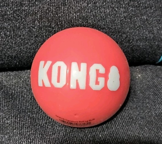 KONG Signature Ball Lg Bulk Large Rubber Dog Toy Ball Model SKB1