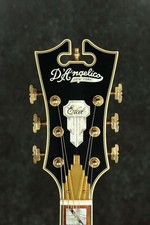 DANGELICO Excel EXL-1 Throwback Viola (no260824)