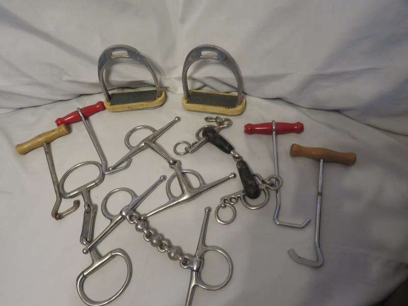 Horse Accessories Lot